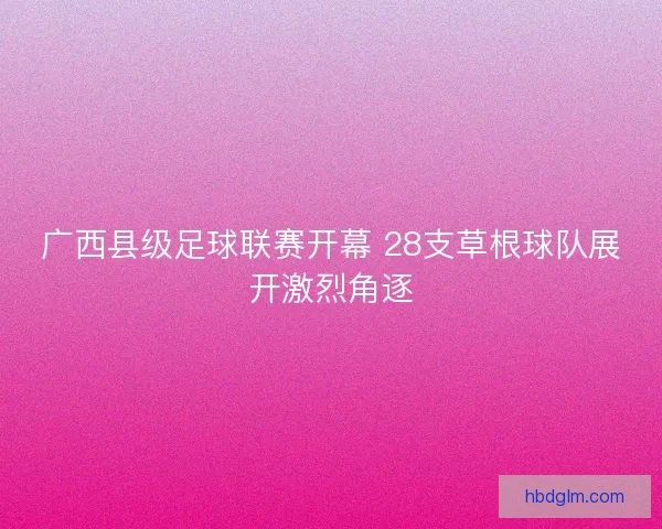广西县级足球联赛开幕 28支草根球队展开激烈角逐 广西县级足球联赛开幕 28支草根球队展开激烈角逐