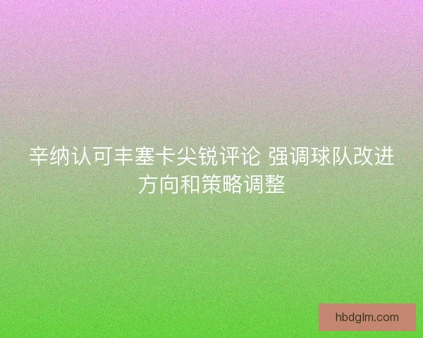 辛纳认可丰塞卡尖锐评论 强调球队改进方向和策略调整