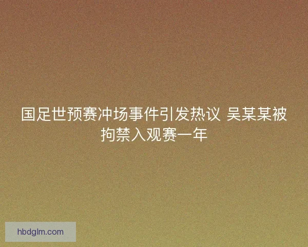 国足世预赛冲场事件引发热议 吴某某被拘禁入观赛一年 国足世预赛冲场事件引发热议 吴某某被拘禁入观赛一年